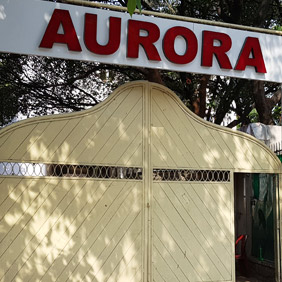 Aurora's Design Academy